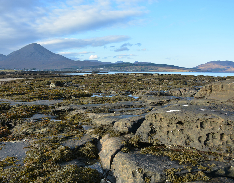 The fossil beach at Waterloo on a bright sunny day